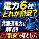 北海道電力(9509)はラピダスで化けるか? PBR0.46・増配の裏で会社予想は減益という現実|電力6社比較【2026年最新決算】
